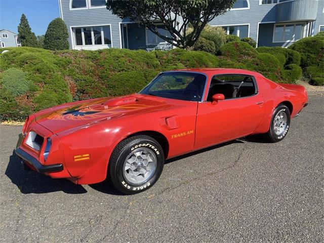 1974 Pontiac Firebird Trans Am for Sale | ClassicCars.com | CC-1663838