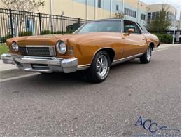 1973 Chevrolet Monte Carlo (CC-1664062) for sale in Clearwater, Florida