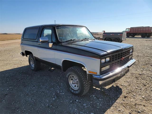 1989 Chevrolet Blazer (CC-1664240) for sale in Saint Edward, Nebraska