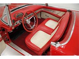 1955 Ford Thunderbird (CC-1664333) for sale in Morgantown, Pennsylvania