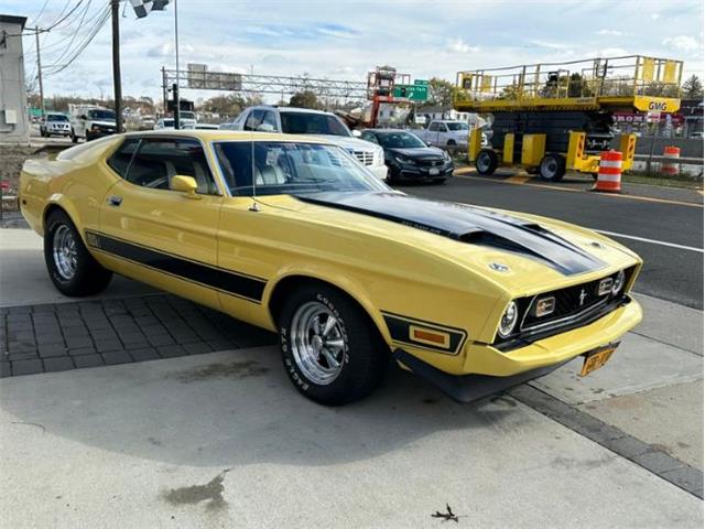 1973 Ford Mustang (CC-1664785) for sale in Cadillac, Michigan