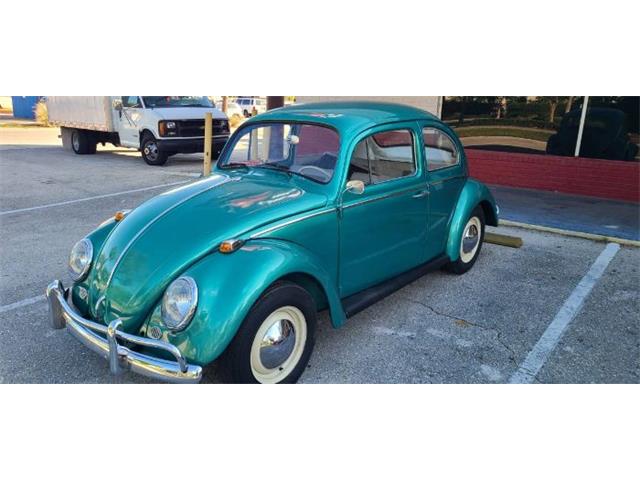1965 Volkswagen Beetle (CC-1665821) for sale in Cadillac, Michigan