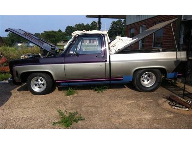 1976 Chevrolet C10 (CC-1660589) for sale in Hobart, Indiana