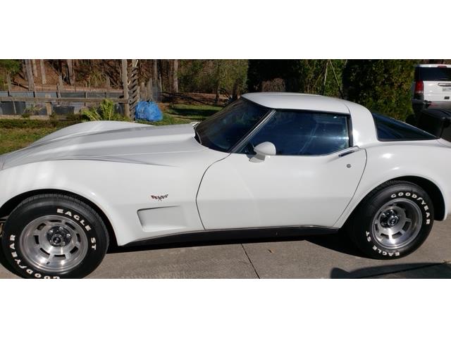 1979 Chevrolet Corvette (CC-1667180) for sale in Norris, Tennessee