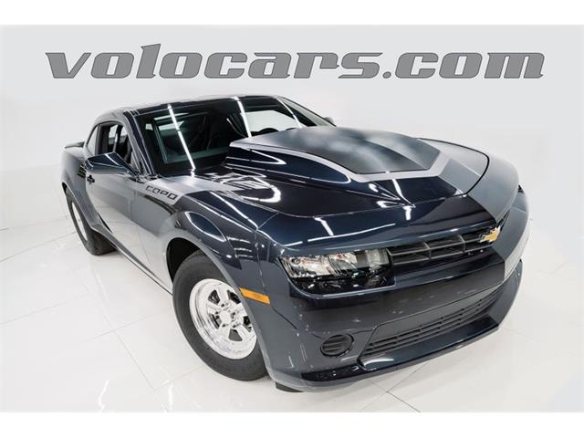 2010 Chevrolet Camaro COPO (CC-1667427) for sale in Volo, Illinois