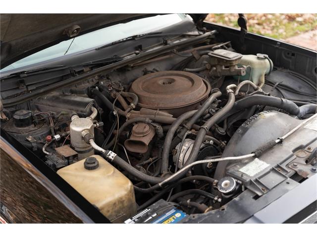 1987 Chevrolet El Camino (CC-1667482) for sale in Abington, Pennsylvania