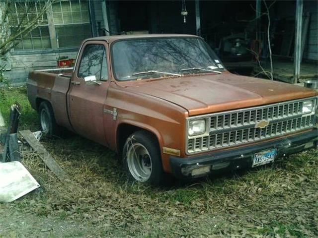 1981 Chevrolet SWB (CC-1660771) for sale in Hobart, Indiana