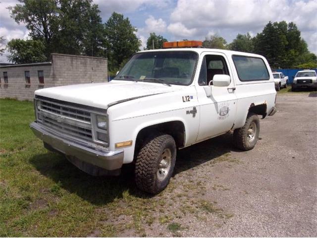 1986 Chevrolet Blazer (CC-1668135) for sale in Cadillac, Michigan