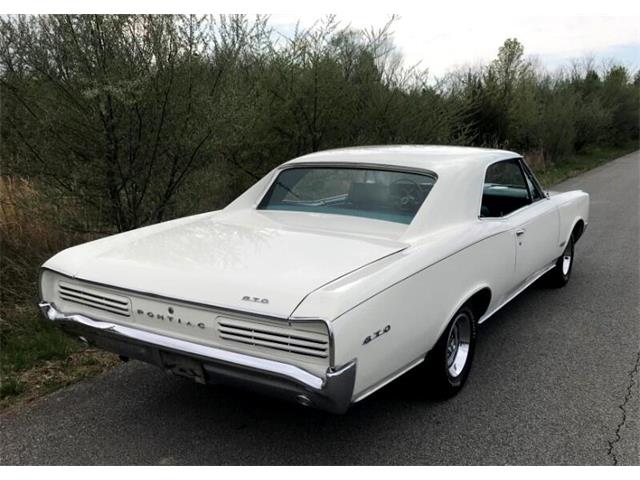 1966 Pontiac GTO (CC-1668355) for sale in Harpers Ferry, West Virginia