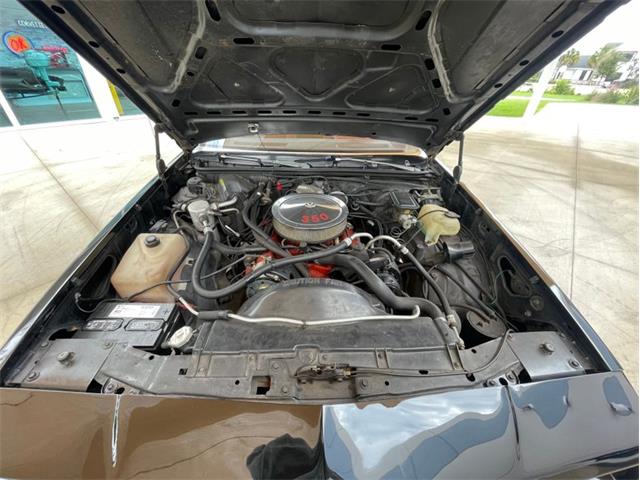 1984 Chevrolet El Camino SS (CC-1669101) for sale in Palmetto, Florida