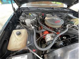 1984 Chevrolet El Camino SS (CC-1669101) for sale in Palmetto, Florida