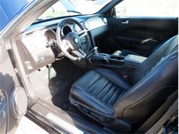 2007 Shelby Mustang (CC-1669450) for sale in Dayton, Ohio