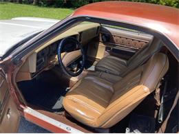 1975 Chevrolet El Camino (CC-1669639) for sale in Cadillac, Michigan
