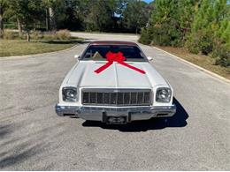 1975 Chevrolet El Camino (CC-1669639) for sale in Cadillac, Michigan