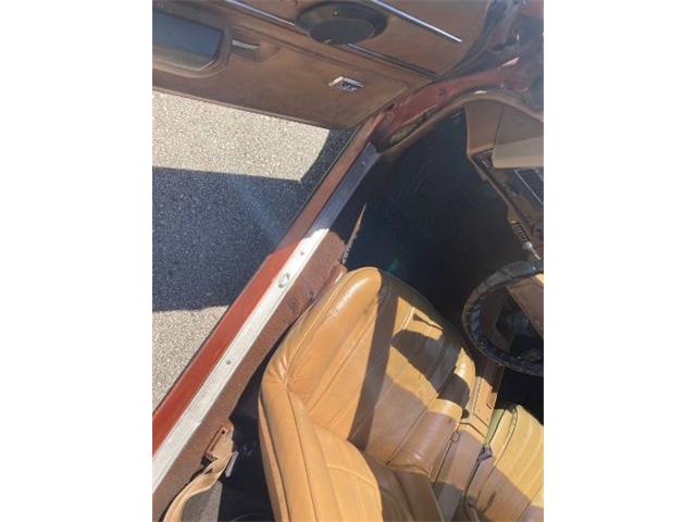 1975 Chevrolet El Camino (CC-1669639) for sale in Cadillac, Michigan