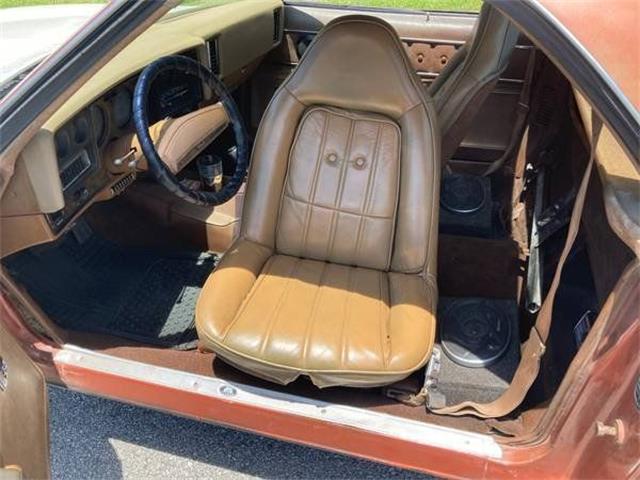 1975 Chevrolet El Camino (CC-1669639) for sale in Cadillac, Michigan