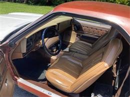 1975 Chevrolet El Camino (CC-1669639) for sale in Cadillac, Michigan