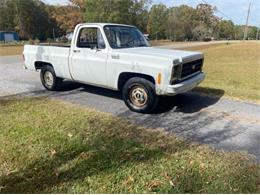 1979 Chevrolet C10 (CC-1669653) for sale in Cadillac, Michigan