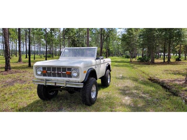 1977 Ford Bronco (CC-1669665) for sale in Cadillac, Michigan