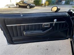 1979 Pontiac Firebird Trans Am (CC-1669798) for sale in Pompano Beach, Florida