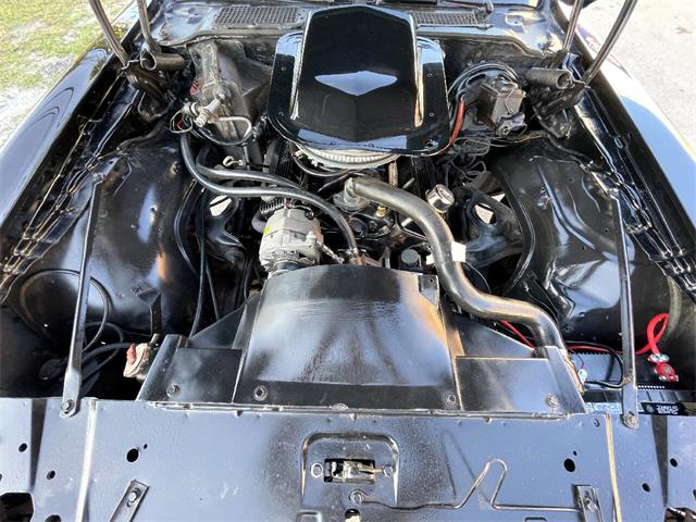 1979 Pontiac Firebird Trans Am (CC-1669798) for sale in Pompano Beach, Florida
