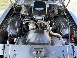 1979 Pontiac Firebird Trans Am (CC-1669798) for sale in Pompano Beach, Florida