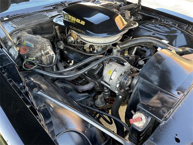 1979 Pontiac Firebird Trans Am (CC-1669798) for sale in Pompano Beach, Florida