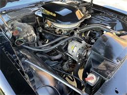 1979 Pontiac Firebird Trans Am (CC-1669798) for sale in Pompano Beach, Florida