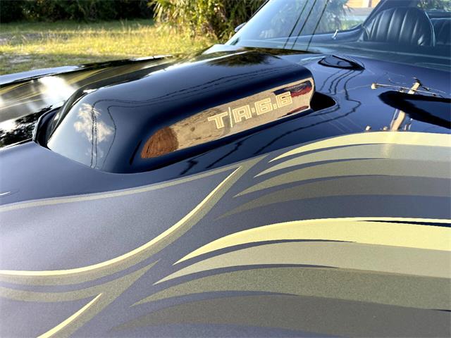 1979 Pontiac Firebird Trans Am (CC-1669798) for sale in Pompano Beach, Florida