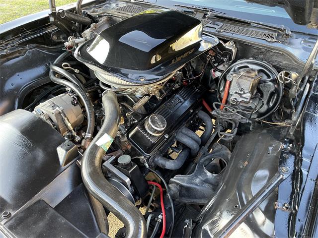 1979 Pontiac Firebird Trans Am (CC-1669798) for sale in Pompano Beach, Florida