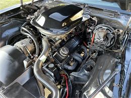 1979 Pontiac Firebird Trans Am (CC-1669798) for sale in Pompano Beach, Florida