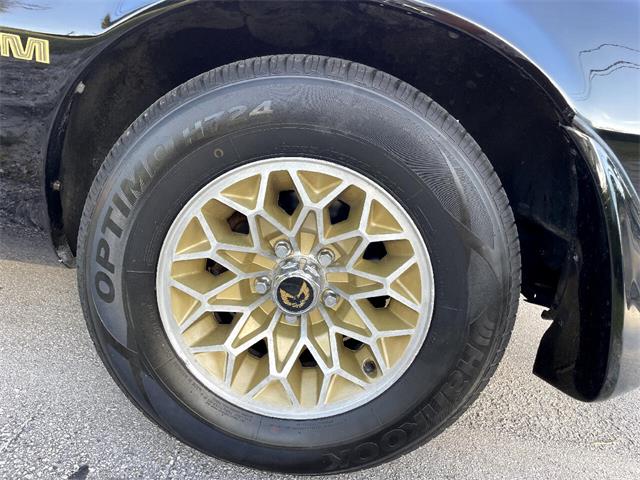 1979 Pontiac Firebird Trans Am (CC-1669798) for sale in Pompano Beach, Florida