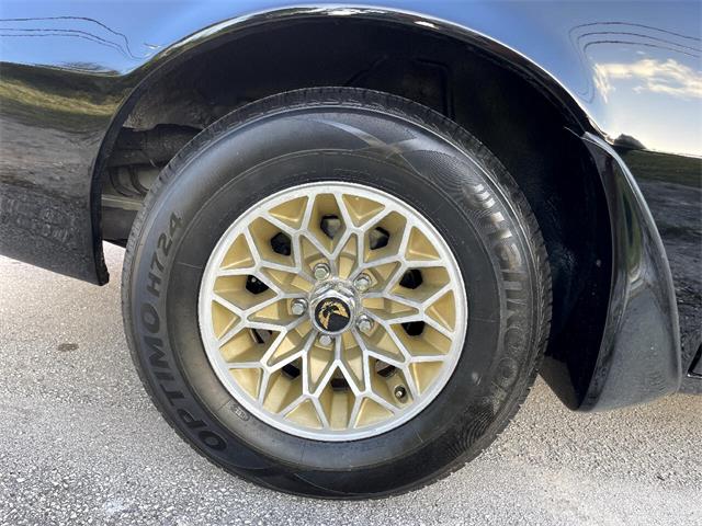 1979 Pontiac Firebird Trans Am (CC-1669798) for sale in Pompano Beach, Florida