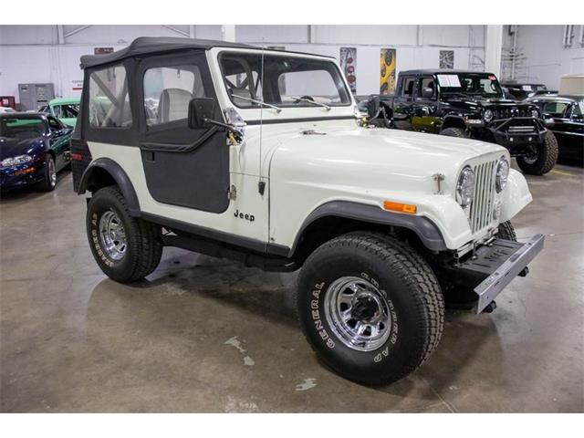 1980 Jeep CJ (CC-1671018) for sale in Kentwood, Michigan
