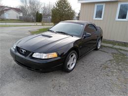 2000 Ford Mustang (CC-1671475) for sale in Hobart, Indiana