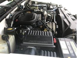 1998 GMC Sierra (CC-1671529) for sale in Fredericksburg, Texas