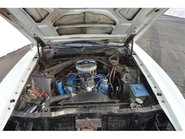 1971 Ford Mustang (CC-1671585) for sale in Springfield, Massachusetts