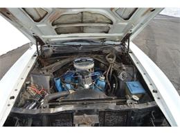 1971 Ford Mustang (CC-1671585) for sale in Springfield, Massachusetts