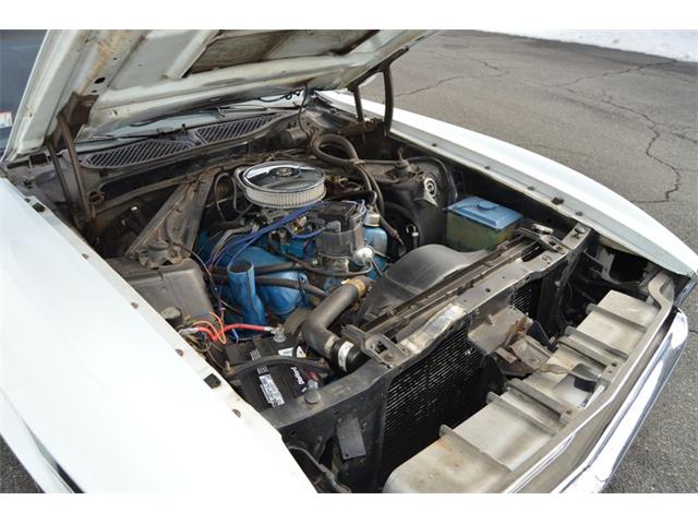 1971 Ford Mustang (CC-1671585) for sale in Springfield, Massachusetts