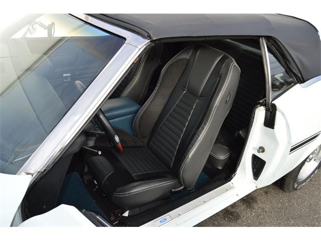 1971 Ford Mustang (CC-1671585) for sale in Springfield, Massachusetts