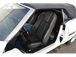 1971 Ford Mustang (CC-1671585) for sale in Springfield, Massachusetts
