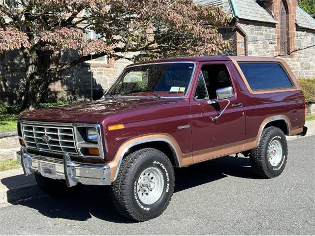 1985 Ford Bronco (CC-1671794) for sale in Cadillac, Michigan