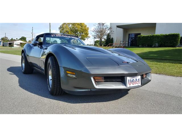 1981 Chevrolet Corvette (CC-1670281) for sale in Hudson, Florida