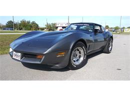 1981 Chevrolet Corvette (CC-1670281) for sale in Hudson, Florida