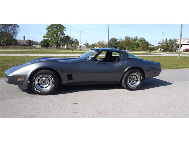 1981 Chevrolet Corvette (CC-1670281) for sale in Hudson, Florida