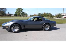 1981 Chevrolet Corvette (CC-1670281) for sale in Hudson, Florida