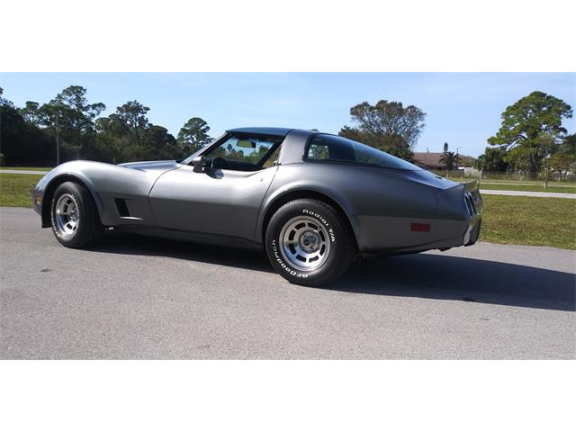 1981 Chevrolet Corvette (CC-1670281) for sale in Hudson, Florida