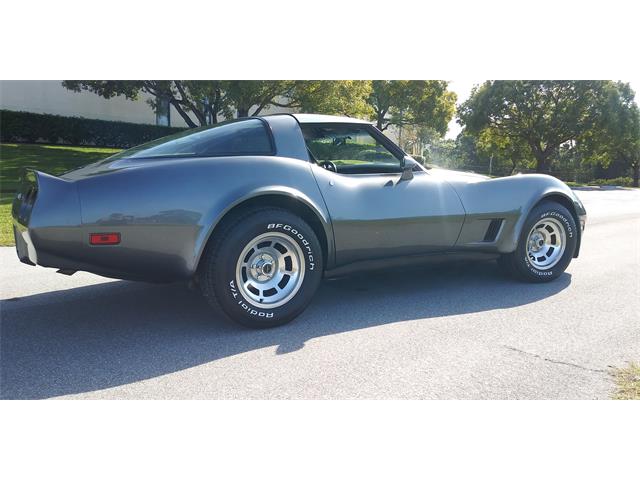 1981 Chevrolet Corvette (CC-1670281) for sale in Hudson, Florida
