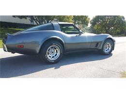 1981 Chevrolet Corvette (CC-1670281) for sale in Hudson, Florida
