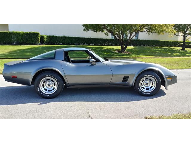 1981 Chevrolet Corvette (CC-1670281) for sale in Hudson, Florida